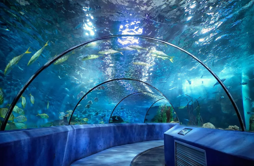 水族领域